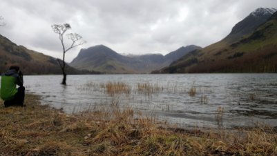 That tree, Buttermere