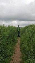 The path - Lunt Meadows