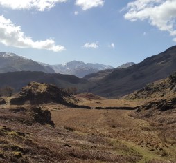 Towards the Scafells