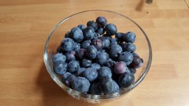 3pm to 4pm - harvest of blueberries