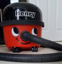 Vacuuming with Henry!