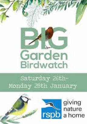 RSPB Big Garden Birdwatch 2019